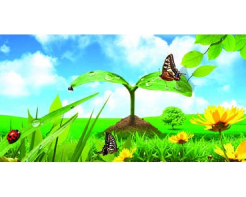 Desk Calendar DC25